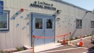 New animal shelter opens in Los Banos
