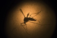 Human West Nile virus case reported in Lancaster County