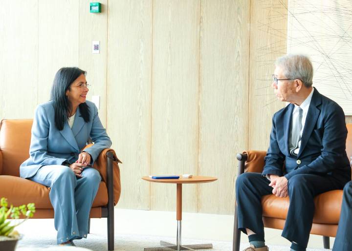 Vicepresidenta se reúne con japonés Riken Yamamoto