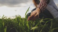 Incremento planteado a agricultura en Paquete Económico 2026 es insuficiente: Unidad Campesina