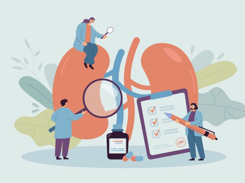 La prevención renal se fortalece: alianza histórica entre diabetes y salud renal