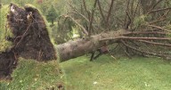 Tornado damage in Holden, Massachusetts to be examined by National Weather Service to determine size, strength