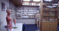 Museum kept and displayed human remains without consent