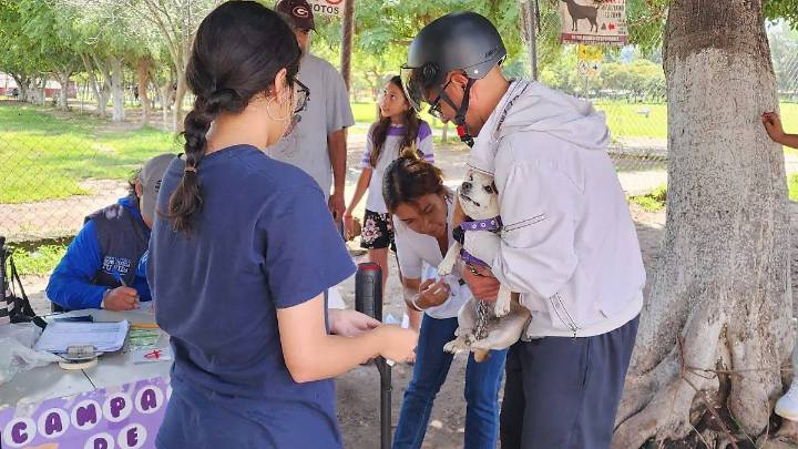 Más de 57 mil vacunas antirrábicas aplicadas a perros y gatos en el sureste