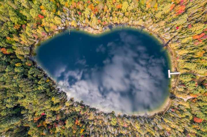 Pull over, this I-75 pitstop has its first pop of fall color
