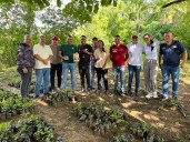 Inspeccionan más de 3 mil 200 plantas de café en la...