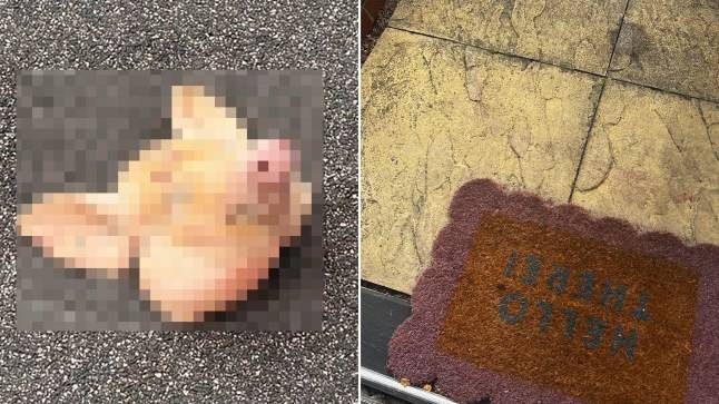Muslim family ‘deeply traumatised’ after pig’s head left on doorstep