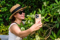 URGENT Phone Recall For People in New York