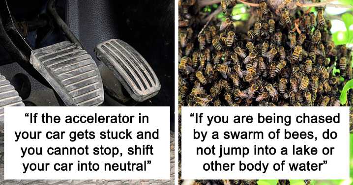 27 People Are Sharing Clever Tips That Could One Day Save Your Life