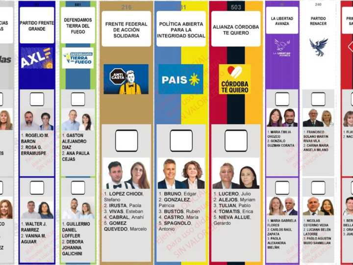 Leones y águilas blue, un logo por Kicillof fuera de la Provincia, el octógono "anti casta" y el poncho candidato: curiosidades de la Boleta Única en todo el país