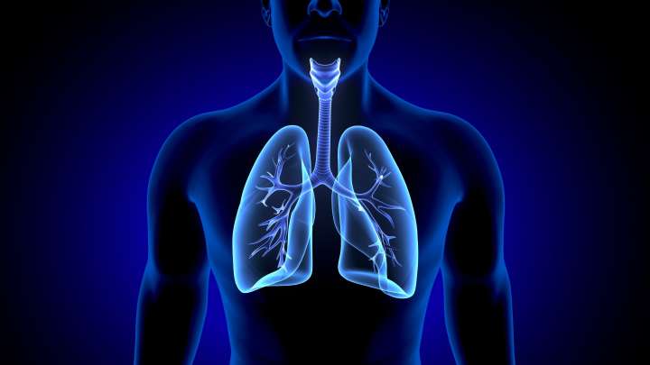 Calluna Pharma Launches Phase 2 AURORA Trial of CAL101 to Halt Lung Decline in IPF Patients