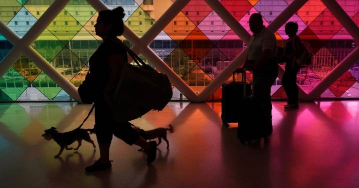 Trump admin ditches Biden plan to make airlines pay compensation for flight disruptions