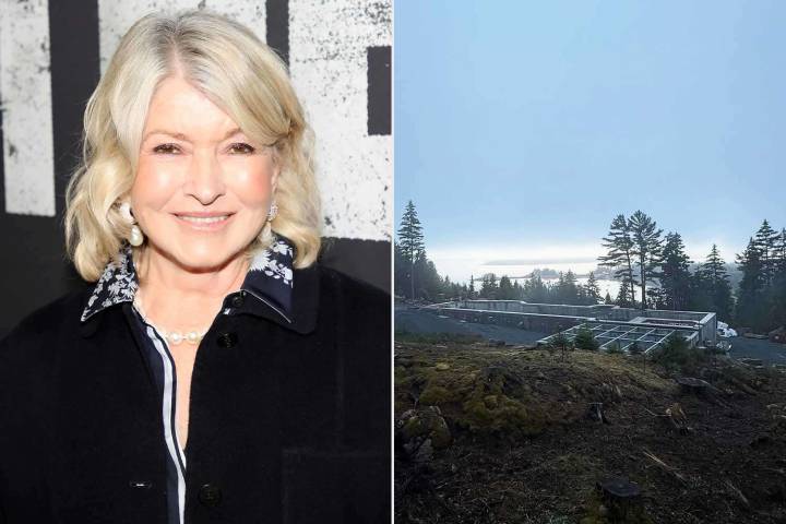 Martha Stewart Reveals Her 'Biggest Building Project of the Year'