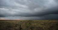 Rain boosts southern NSW crops but dips grain prices