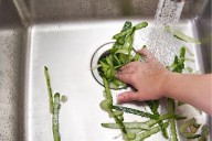 10 Things to Never Put in a Garbage Disposal