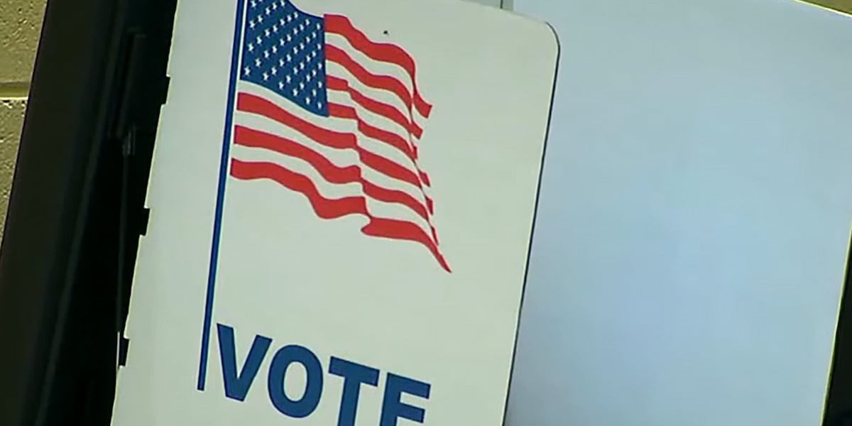 Deadline approaches for GA, SC voters to register in 2025 municipal elections