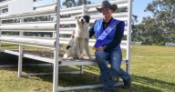 Jess Kimpton: from agility to dog trial champion at Henty
