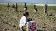 Preliminary data shows the U.S. labor force lost 1.2 million immigrant workers under Trump