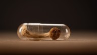 Ohio State study: Psychedelic-assisted therapy brings lasting depression relief