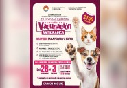 Anuncian campaña de vacunación antirrábica para perros y gatos en Cancún