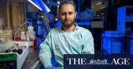 Cortical Labs: Australian startup selling 'wetware' bio-computers made of human brain cells