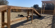 Un parque 'guau' en El Bobar de Almería con mejoras ideadas para los perros y sus dueños