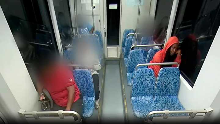 Ukrainian woman stabbed to death in unprovoked attack on train: Police