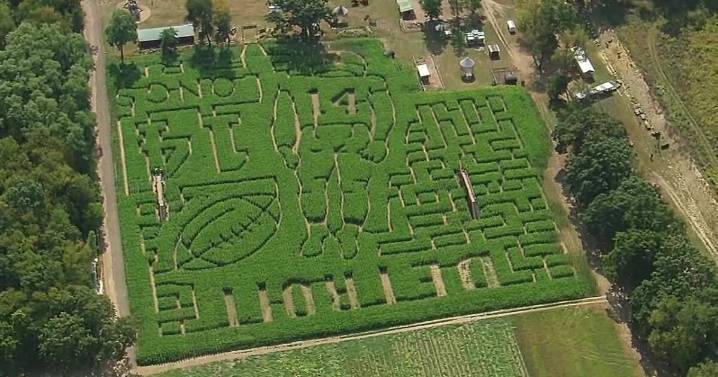 VIDEO: Commerce Township corn maze recreates Amon