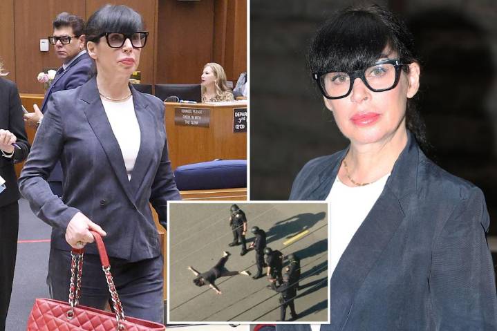 Weezer wife Jillian Shriner to attend 2-year mental health program after firing at LAPD cops