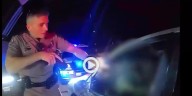 Caught on camera: Police stop suspected drunk driver heading wrong way on I