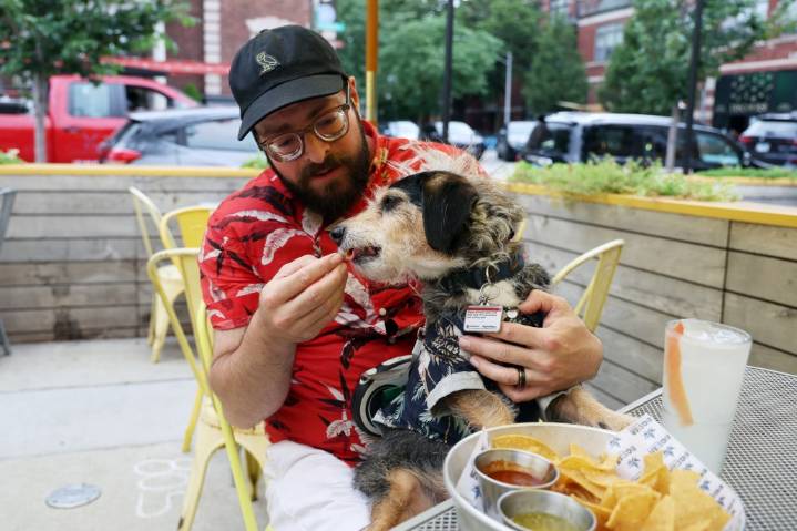 Chicago ordinance would open door to dog inside restaurants