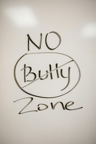 Working as a Team to Create a Bully