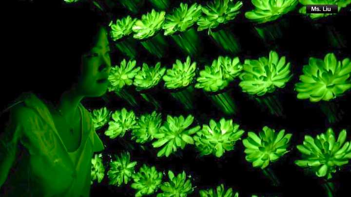 Scientists have created rechargeable, multicolored, glow-in