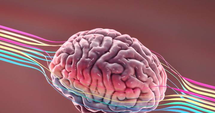 Alzheimer: las señales que no debés ignorar y cómo podés prevenir la enfermedad