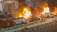 Democrats Estimate They Are Only One More Arson Away From Being Popular Again