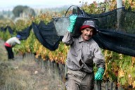 El RENATRE anunció nuevos aumentos de la prestación por desempleo para septiembre y octubre