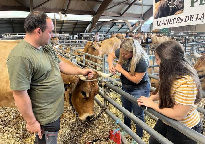 40 ediciones de Agrosiero: «Un certamen para defender el medio rural de Asturias, lo nuestro»