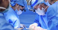 FDA approves first human clinical trials for gene-edited pig kidney transplants