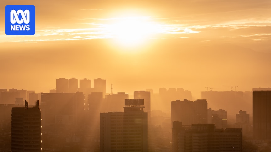 Quarter of heatwaves this century 'virtually impossible' without climate change, study finds