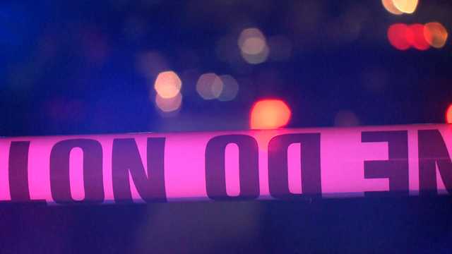 'I guess I shot her, by accident': Man accused of killing wife after she threw a book at him