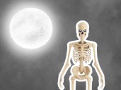 Home Depot's 12-ft Giant Skelly returns for Halloween 2025