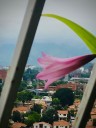 “Monólogo de Amanaú” por Luis Alberto Angulo
