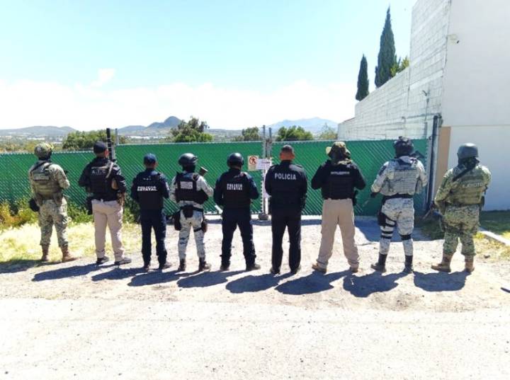 Decomisos en operativo de Mineral de la Reforma: ¿qué encontraron?