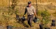 Help restore some of the INW's natural habitat in Turnbull National Wildlife Refuge this fall