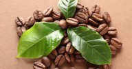 El ritual con hojas de laurel y granos de café para atraer abundancia en septiembre 2025