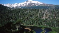 Un centro termal de excelencia: te revelamos qué actividades podés realizar en Copahue