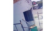 Denuncian que ataques de abejas trágicos se debe a que no aplican Protocolo Municipal de Protección
