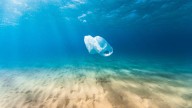 Plastic bags can be turned into sensors for safe drinking water