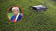 Colombia, a la espera de la decisión de Washington sobre la certificación antidrogas: estos son los tres escenarios