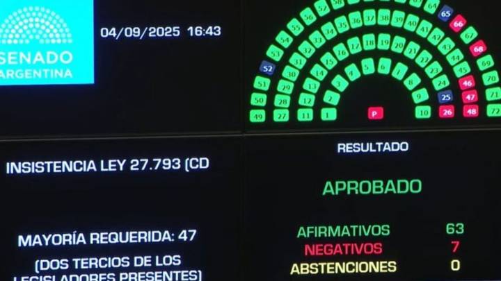 Duro golpe al oficialismo: el Senado rechazó el veto a la emergencia en Discapacidad